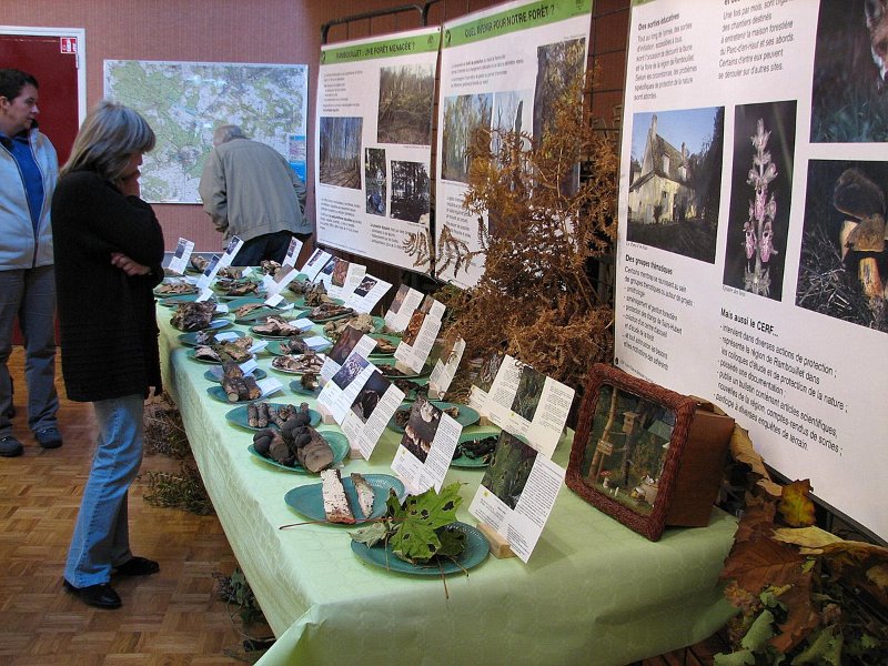 2009 10 Expo champignons de Clairefontaine 32